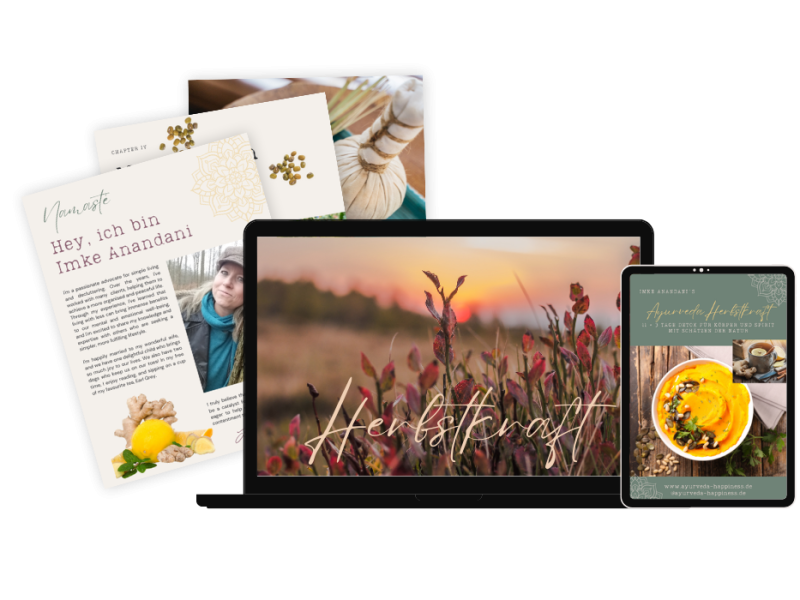 Ayurveda Herbstzeit, herbst Ayurveda, Herbstkraft, detox herbst, detoxkur, detox onlinekur, ausleitung ama ayurveda